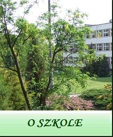 City Info.