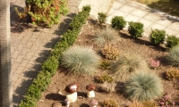 foto9