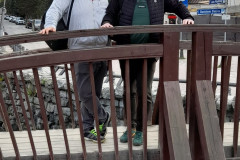 photo1