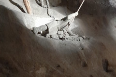 photo5